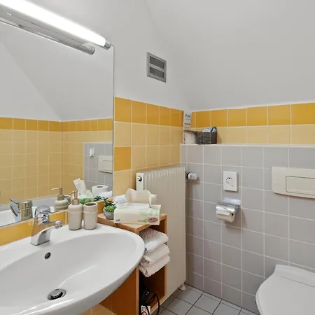 بيت خشبي Apartments Ottenschlag *